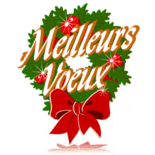 Meilleurs Vœux GIF - Merry Christmas French Meilleurs Voeux GIFs