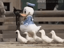 Ducks Donaldduck GIF - Ducks Donaldduck Squad GIFs