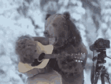 Bear Bear Guitar GIF - Bear Bear Guitar Guitar GIFs