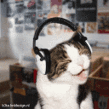 Gato Musical Gato Dj GIF - Gato Musical Gato Dj Happy GIFs
