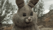 Bunny Goio GIF - Bunny Goio GIFs