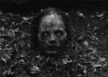 Horror Zombie GIF - Horror Zombie Halloween GIFs