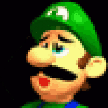 Luigi Luigi Face Palm GIF - Luigi Luigi Face Palm Luigi Pissed Himself GIFs