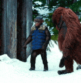 a chimpanzee wearing a blue vest and a hat stands next to a large brown bear
