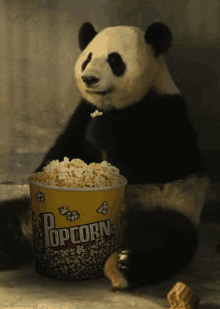 Pandacorn GIF - Pandacorn GIFs