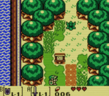 Links Awakening Funny GIF - Links Awakening Funny Mysterious Forest GIFs