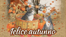 Ottobre Autunno Felice Autunno Buon Autunno Gatti Foglie GIF - October Autumn Happy Autumn GIFs