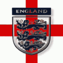 Its Coming Home GIF - Its Coming Home GIFs