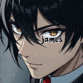 a close up of a person 's face with the name james written on it