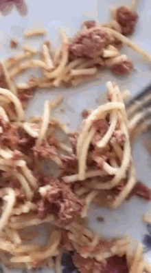 Spaghetti GIF