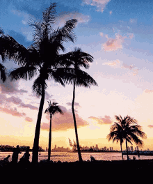 游 GIF - Coconut Sunset Beach GIFs