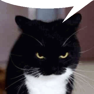 Angry Cat Sticker - Angry Cat Annoyed - Discover & Share GIFs