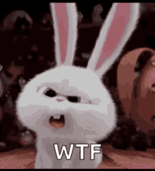 Wtf Confused GIF - Wtf Confused What Is Going On GIFs