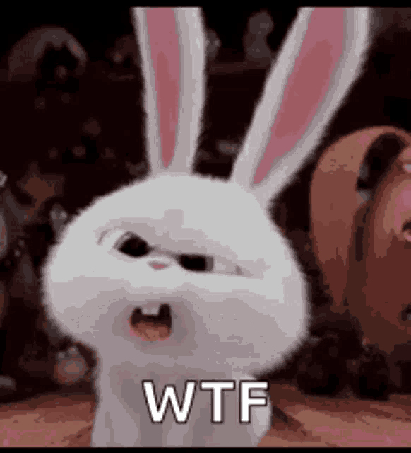 Wtf Confused GIF - Wtf Confused What Is Going On GIFs