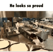 Yelling Cooking GIF - Yelling Cooking Funny GIFs