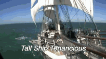 sail sailing tall ship ship tall ship tenacious