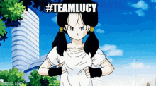 Teamlucy Dbz GIF - Teamlucy Lucy Dbz GIFs