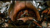 a close up of a monster 's mouth with lots of eyes