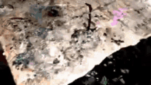 a close up of a piece of paper with a lot of stains on it