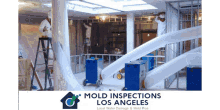 Mold Inspection In La Mold Inspections Los Angeles GIF - Mold Inspection In La Mold Inspections Los Angeles GIFs