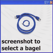 Screenshot To Select A Bagel GIF - Screenshot To Select A Bagel GIFs