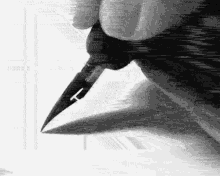 Writing Calligraphy GIF - Writing Calligraphy Fountain Pen GIFs