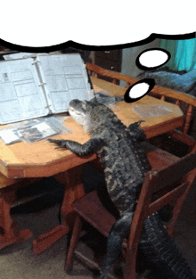 a lizard is sitting at a table with a binder on it