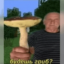 a man in a striped shirt is holding a large mushroom .