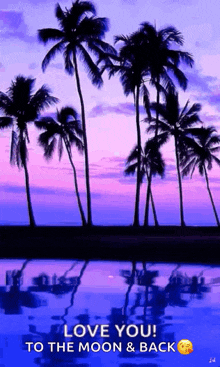 a sunset with palm trees in the foreground and the words love you to the moon and back at the bottom