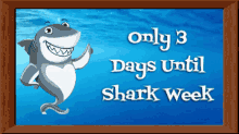 Shark Week Shark GIF - Shark Week Shark Sharks GIFs