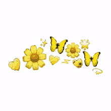 yellow butterfly flower