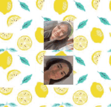 Lemon Cult Aidansarmy GIF