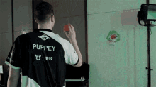 Playing Basketball Puppey GIF - Playing Basketball Puppey Clement Ivanov GIFs