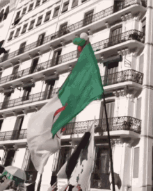 Drapeau Dz Algeria Flag GIF - Drapeau Dz Algeria Flag Dz Flag GIFs