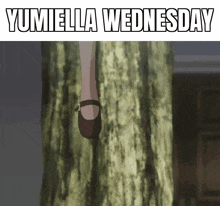 Yumiella Yumiella Dolkness GIF - Yumiella Yumiella Dolkness Villainess Level 99 GIFs