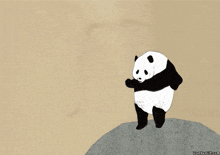 Dancing Panda GIF - Dancing Panda GIFs