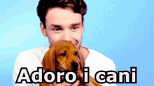 Liam Payne One Direction Cani Adoro I Cani GIF - Liam Payne One Direction I Love Dogs GIFs