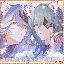 sunaxa the meow meows is written on the bottom of the picture