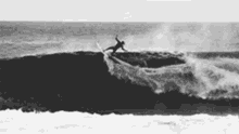 Surfer Wave GIF - Surfer Wave Ocean GIFs