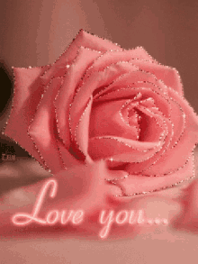 love you rose flower sparkle