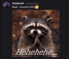 a picture of a raccoon with a caption that says ' hehehe '