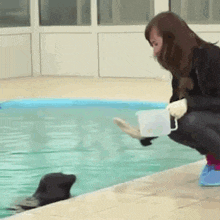 a woman is feeding a seal in a swimming pool while holding a bucket .