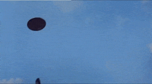 a dog is jumping in the air with a frisbee in its mouth .