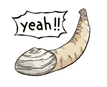 geoduck clam yeah excited yes