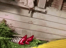 Wizard Of Oz Disappear GIF - Wizard Of Oz Disappear Dead GIFs