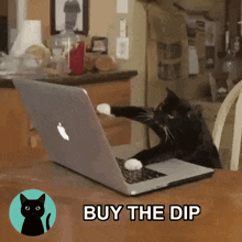 a black cat is sitting in front of a laptop computer with its paw on the keyboard .