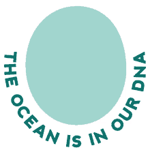 ocean are
