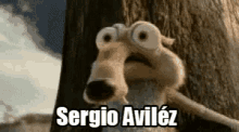 Scrat Ice Age GIF - Scrat Ice Age Sergio Avilez GIFs