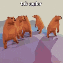 a group of bears standing in a row with the words tok aylar on the bottom