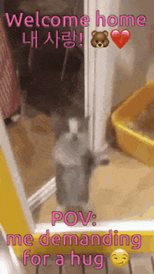 a picture of a cat with the words welcome home pov me demanding for a hug below it